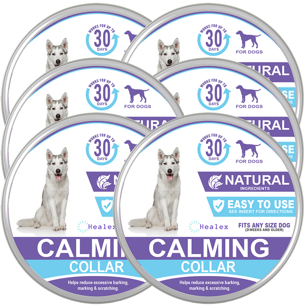 Dog Calming Collar (6-pack)