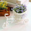Adornio White Tricycle Flower Basket | Wedding Giveaways, Anniversary or Home Decoration