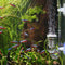 AquaFinder CO2 Diffuser Glass for Aquarium/Fish Tank - Ooala