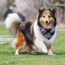 Barkify Triangle Pet Bandana | Adjustable Neckerchief Accessories for Small to Large Dogs & Cats