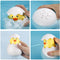 Bjird Penguin and Duck Egg Squirt Bath Toys