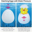 Bjird Penguin and Duck Egg Squirt Bath Toys
