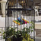 Synaty Bird Wooden Hammock Swing for Parrot - Ooala