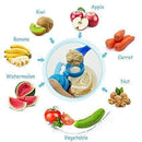 Calies Baby Fruit Feeder Pacifier - Fresh Food Feeder &Teething Toy for Toddlers & Kids│Blue