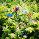 DecoRaze Butterfly Stakes for Indoor and Outdoor Decoration, 24 pcs