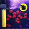 Interstellar Aquarium 3 in 1 Internal Filter | Submersible Oxygen Air Pump for Fish Tank | 25watts - Ooala