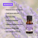 NutriMint Lavender Essential Oil for Humidifier | Fragrance Lamp and Aroma Diffuser - Ooala