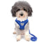 Pettix Adjustable Cat & Dog Vest Harness with Reflective Strap│Medium Size