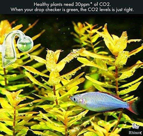 Puol CO2 Drop Checker Valve for Aquarium Plant Tank & Fish Tank
