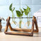 Bloomora Desktop Planter Bulb Vase with Retro Solid Wooden Stand and Metal Swivel - Ooala