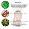 Seluxe Nail Repair Essence | Fungal Nail Treatment