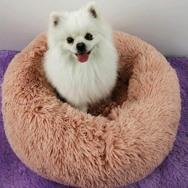 SurePet Soft Plush Round Pet Bed | Self Warming Indoor Sleeping Bed